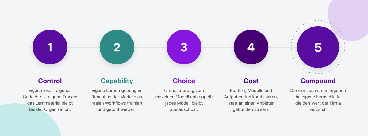Nadellas fünf Punkte: Control, Capability, Choice, Cost, Compound